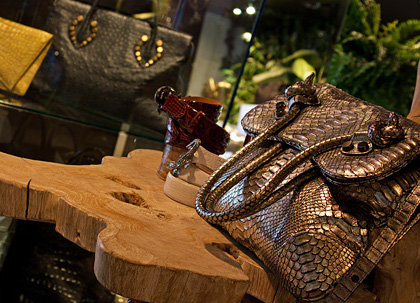 Ambrosi Abrianna Launching & Trunk Show